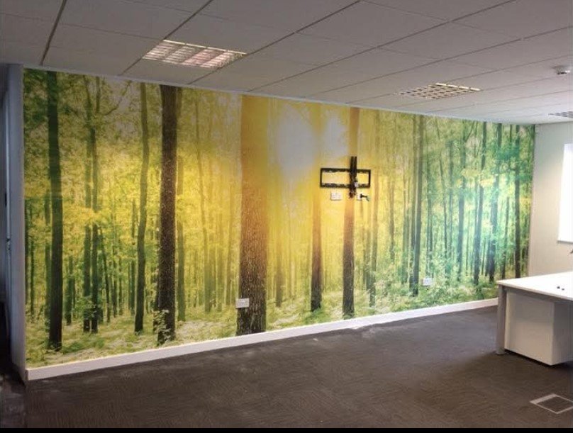 Painting project by DMC Decor